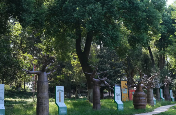 武漢職工惠游年票