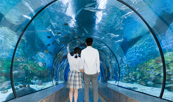 2025寧波海洋世界好玩嗎(附地址+展區(qū)介紹+交通指南)