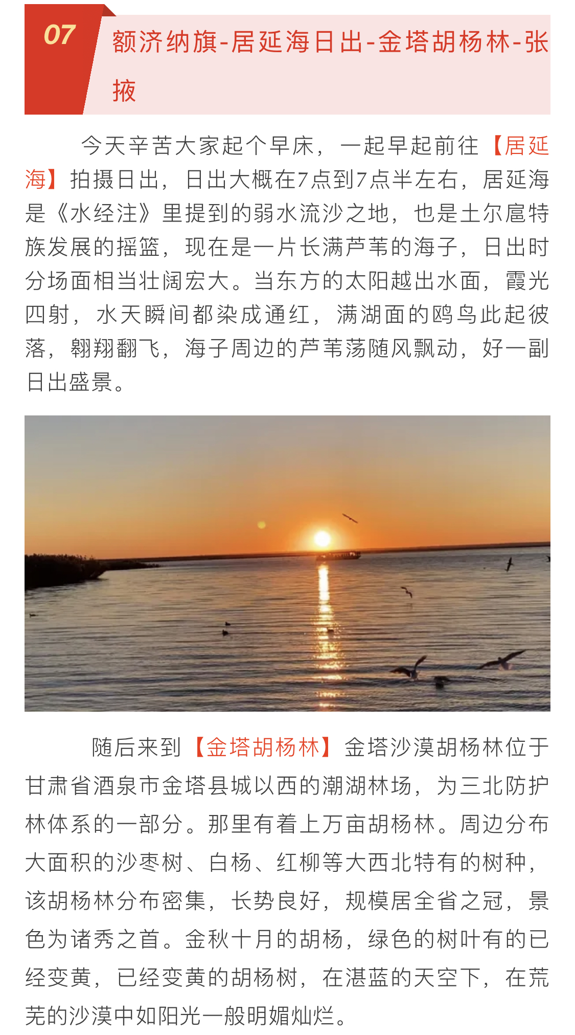 1c3cbda5c34a23619d12bfb345613478.jpg