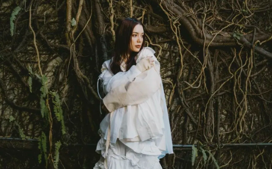 2025安田麗上海演唱會(huì)門票價(jià)格+行程安排+購(gòu)買入口+時(shí)間地點(diǎn)