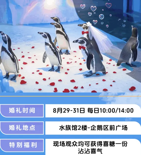 寧波海洋世界