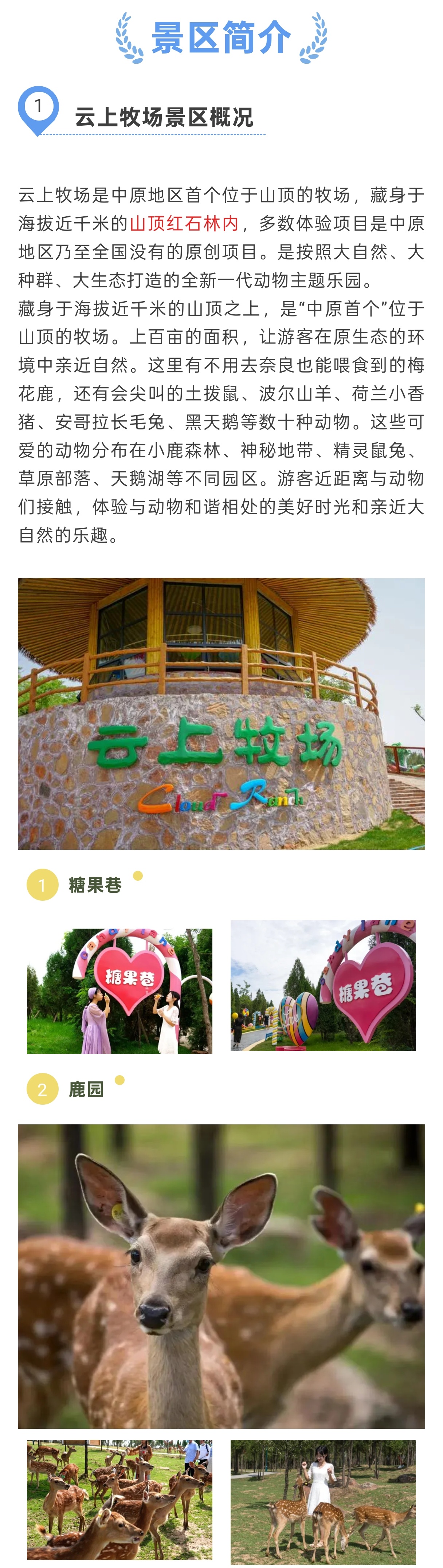 1_副本1.jpg