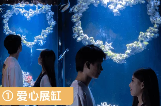 寧波海洋世界