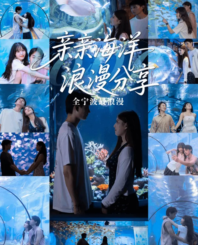 2025寧波海洋世界七夕營(yíng)業(yè)時(shí)間及門票價(jià)格(附優(yōu)待人群+在線訂票+游玩特色)