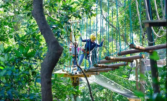 廣州飛越叢林探險樂園