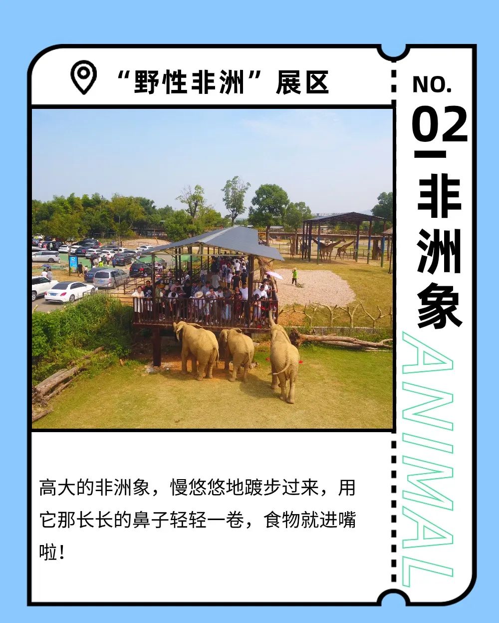 湖州龍之夢動物世界