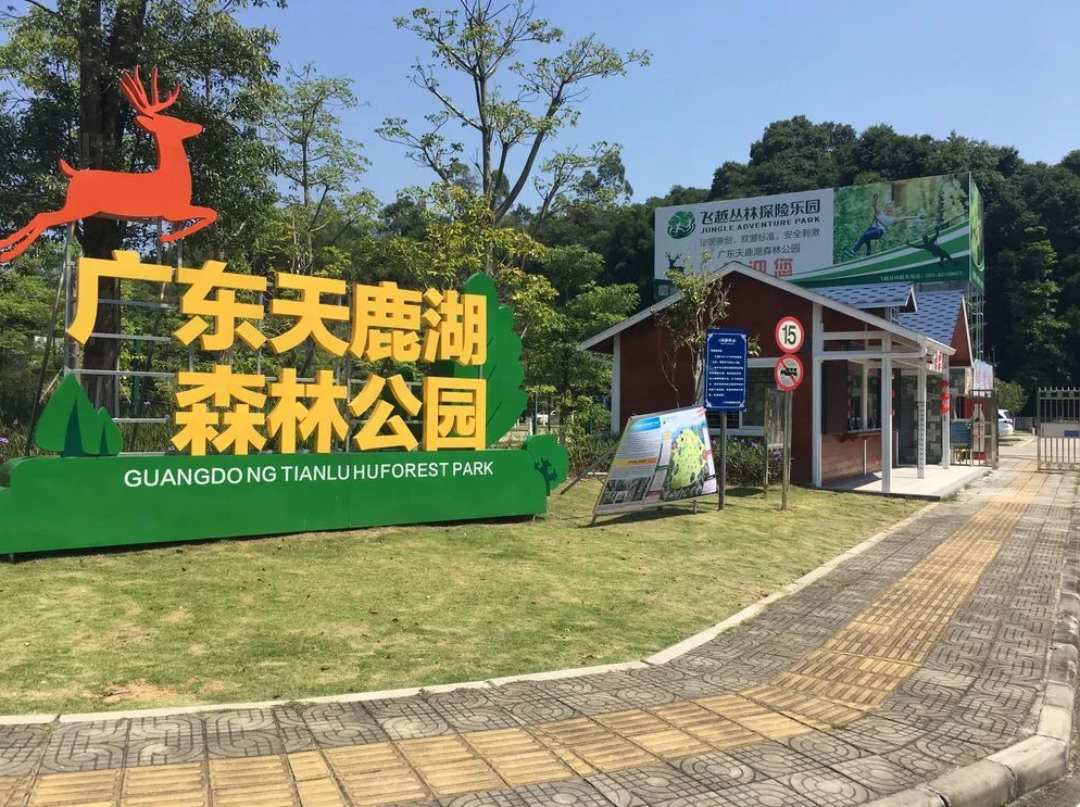 廣州飛越叢林探險樂園
