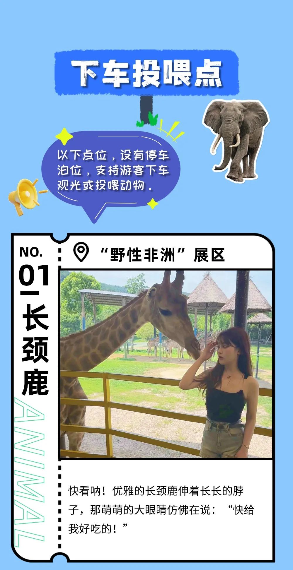 湖州龍之夢動物世界