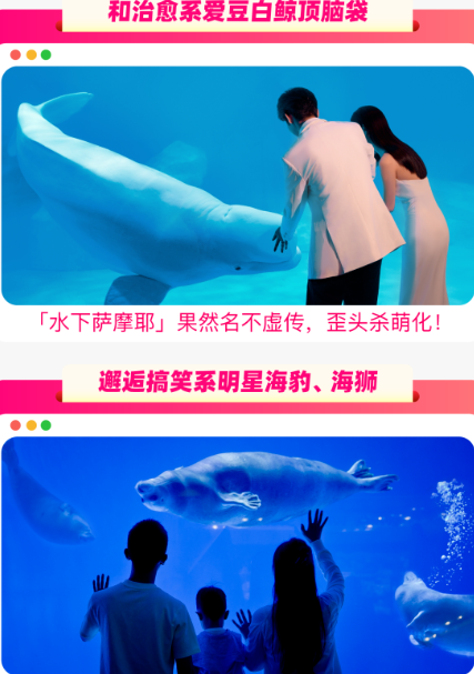 鄭州海昌海洋公園