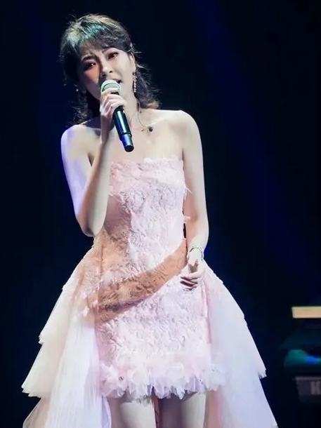 紀念鄧麗君陳佳巡回演唱會長沙站