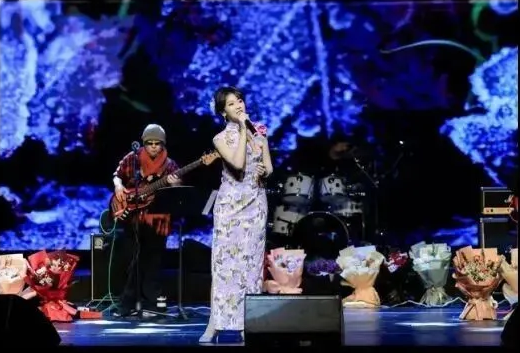 紀念鄧麗君陳佳巡回演唱會長沙站