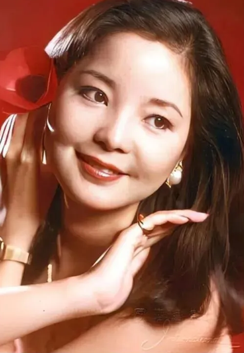 紀念鄧麗君陳佳巡回演唱會長沙站