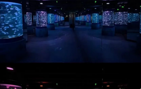 /uploads/image/2025/09/09/0e19a2376006f034d2e9e023573af3a4.png