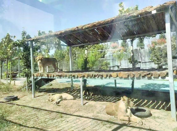 菏澤野生動物世界