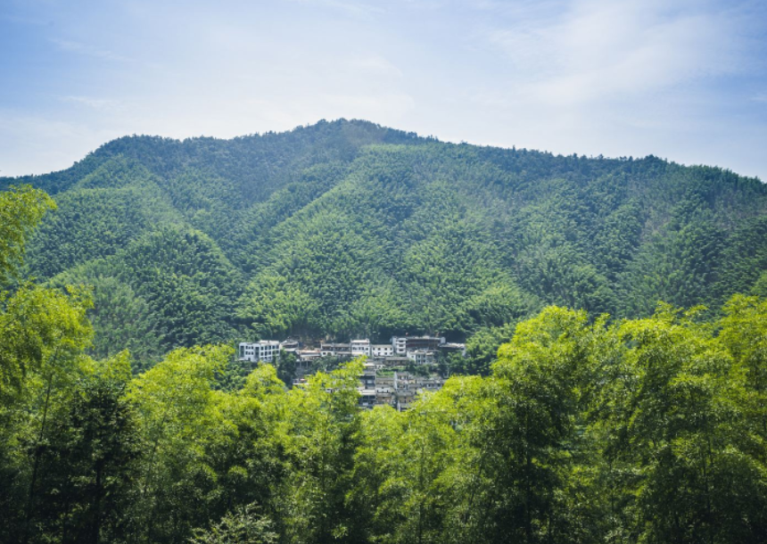 宏村木坑竹海景區(qū)