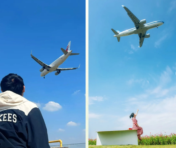 2025成都空港花田門票及收費標準一覽(附免費政策+開放時間+游玩特色介紹)