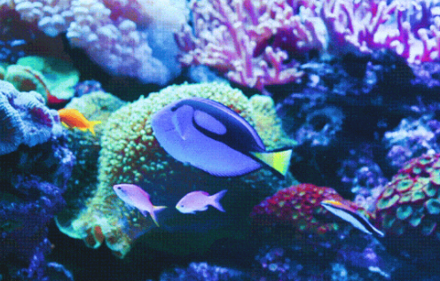 /uploads/image/2025/09/10/98b94176ffbfdb615bdc248fc8635190.png