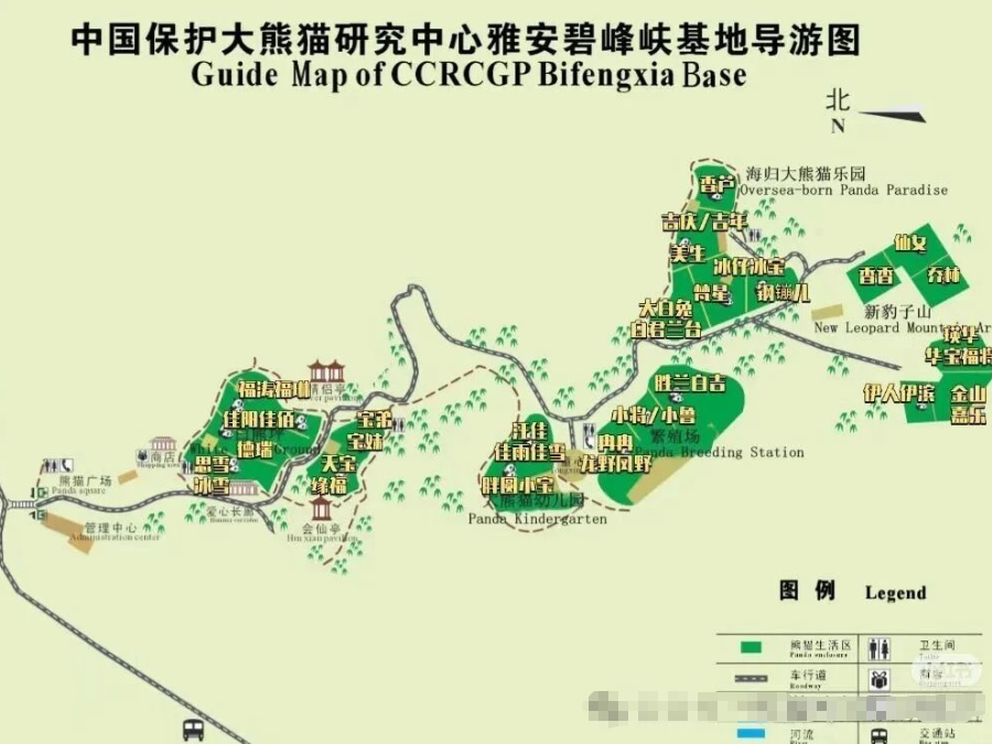 雅安碧峰峽熊貓基地