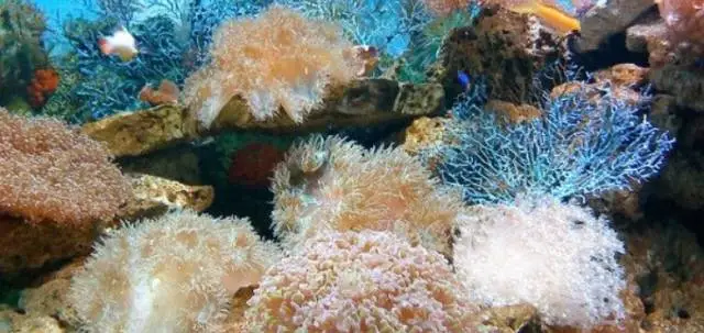 義烏海洋世界