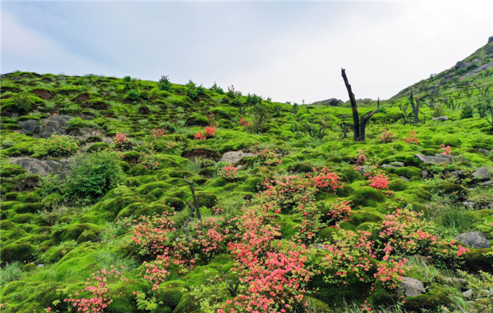 云冰山旅游景區(qū)