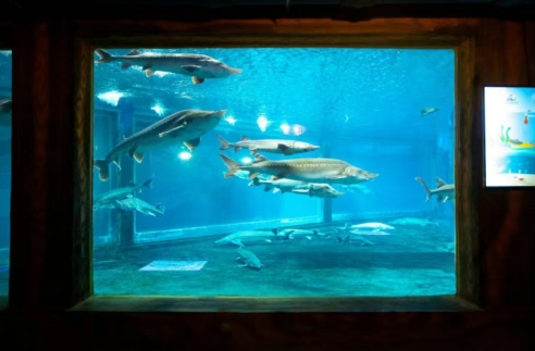 /uploads/image/2025/09/12/d2e6c18ddf6b607f532017270c9f84cb.png