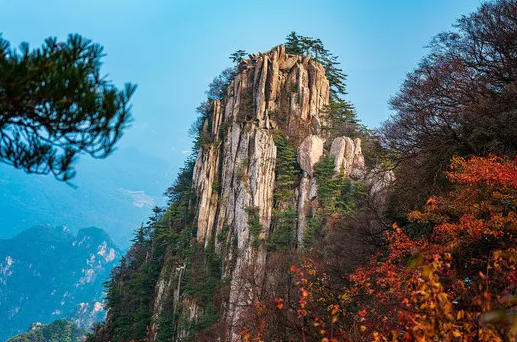 河南旅游一碼通