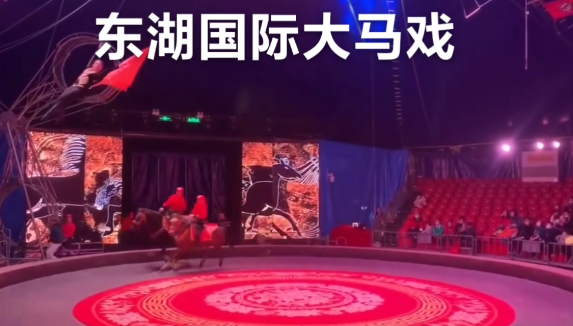 武漢騰旅e卡通