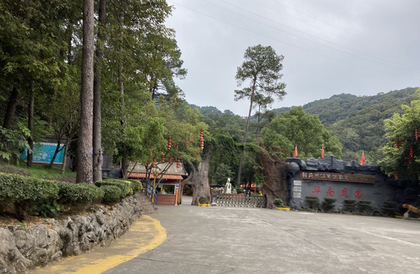 韶關(guān)華南虎園