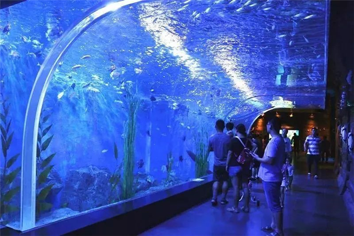 鄭州錦藝城海豚樂園