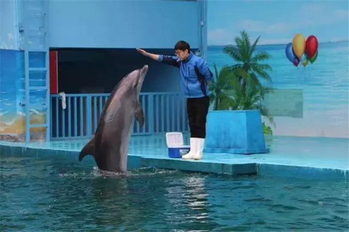鄭州錦藝城海豚樂園
