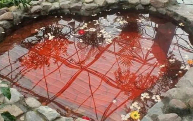 中牟雁鸣湖凌云温泉