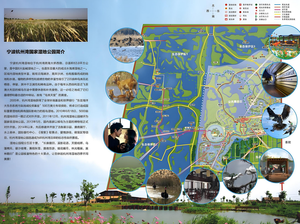 杭州湾国家湿地公园