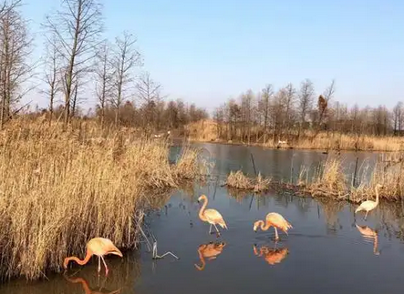 杭州湾国家湿地公园