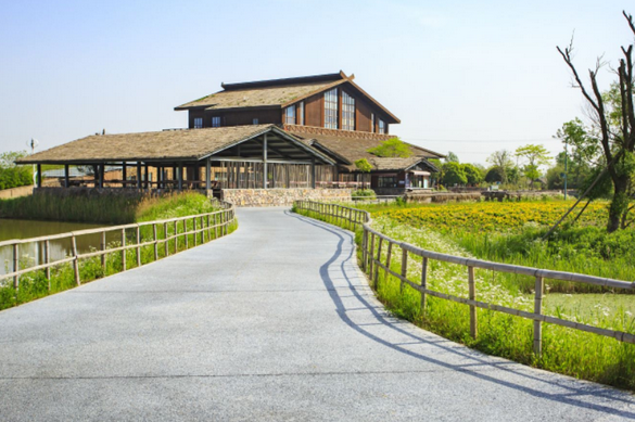 杭州湾国家湿地公园