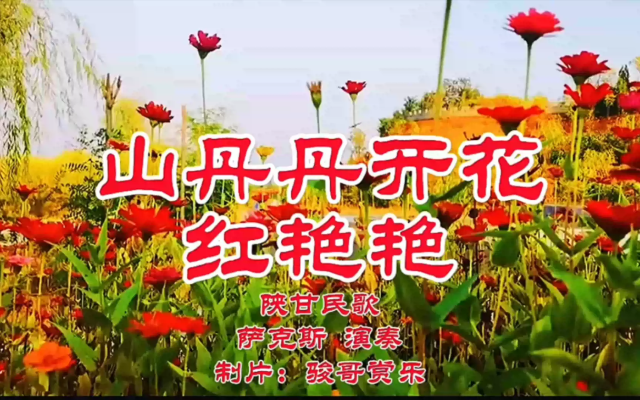 53acb0890bcb58fa1a3fb81b630aff5.png
