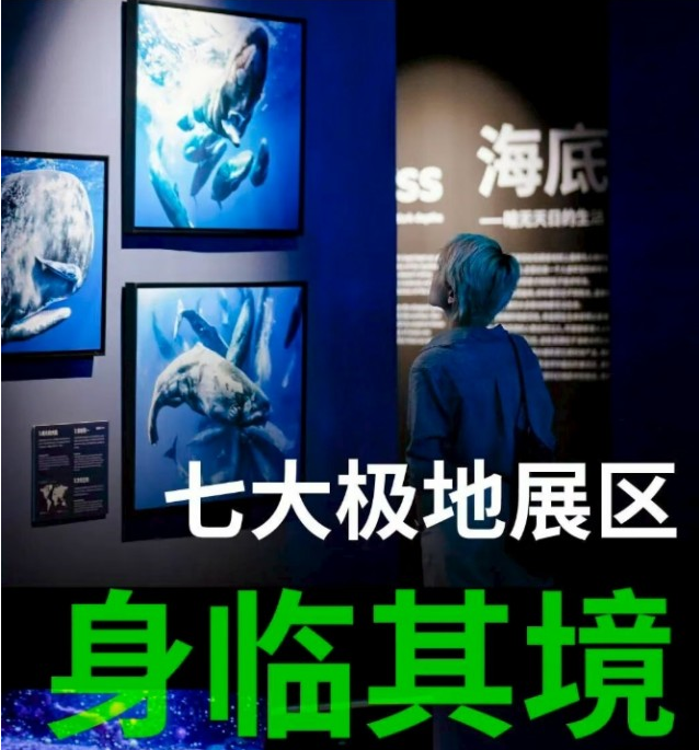 南昌BBC EARTH极地生灵数字影像大展