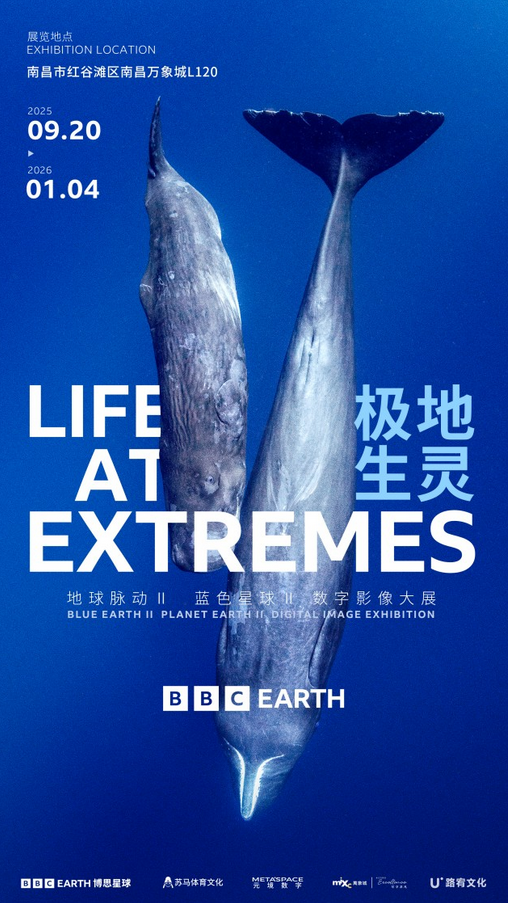 南昌BBC EARTH极地生灵数字影像大展