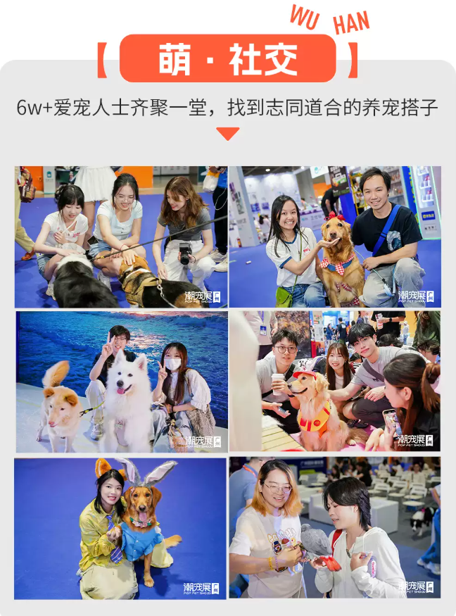 /uploads/image/2025/09/24/045d6a1fa580e037539161f9101f83f5.png