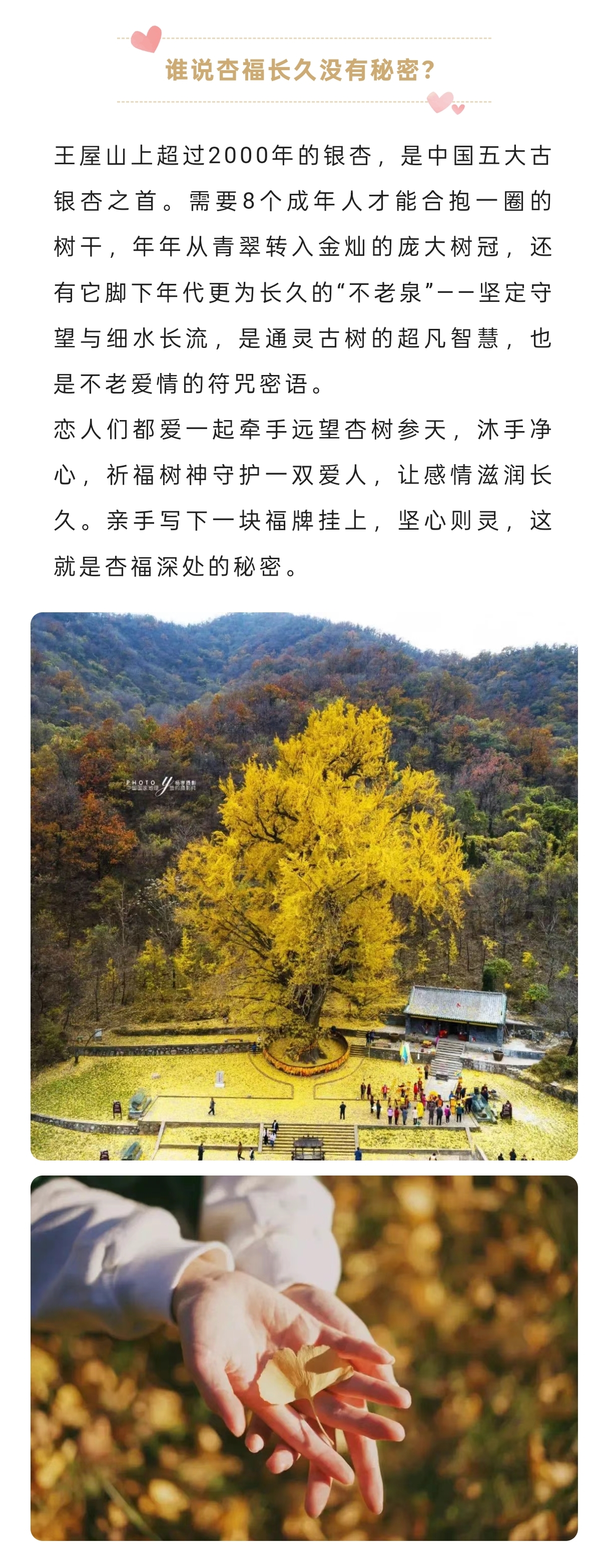 1_副本5.jpg