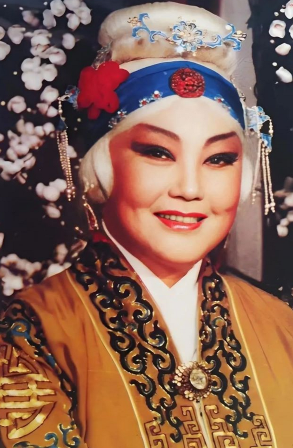 豫剧《马派专场》菏泽站
