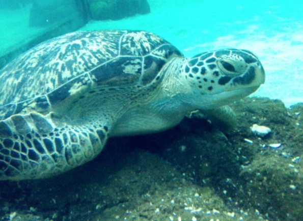 常州海昌海洋探索馆