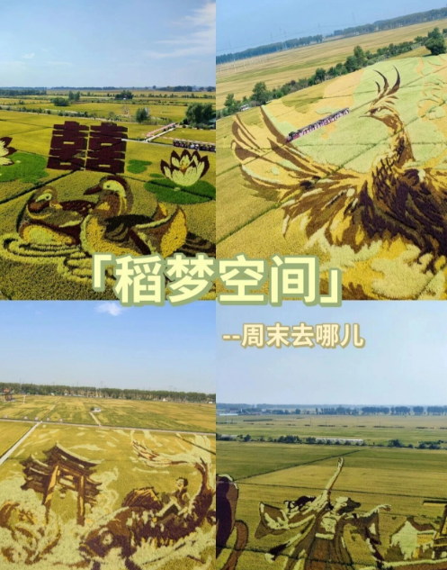 沈阳稻梦空间