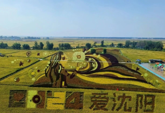 沈阳稻梦空间