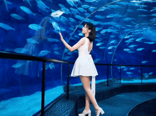 上海海洋水族馆