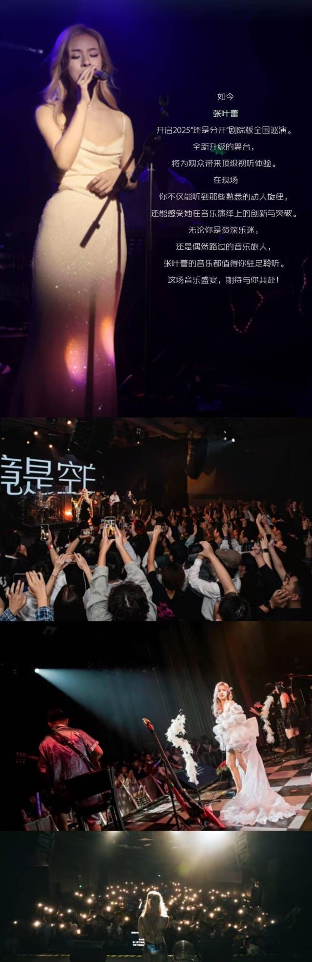 张叶蕾福州演唱会.jpg