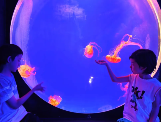 上海海洋水族馆