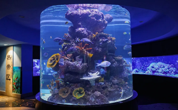 海滨城浩海立方海洋公园