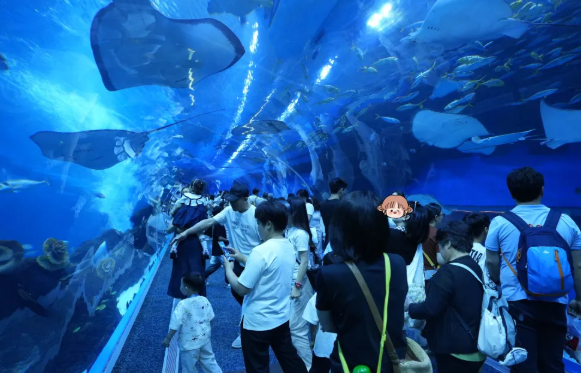 海滨城浩海立方海洋公园