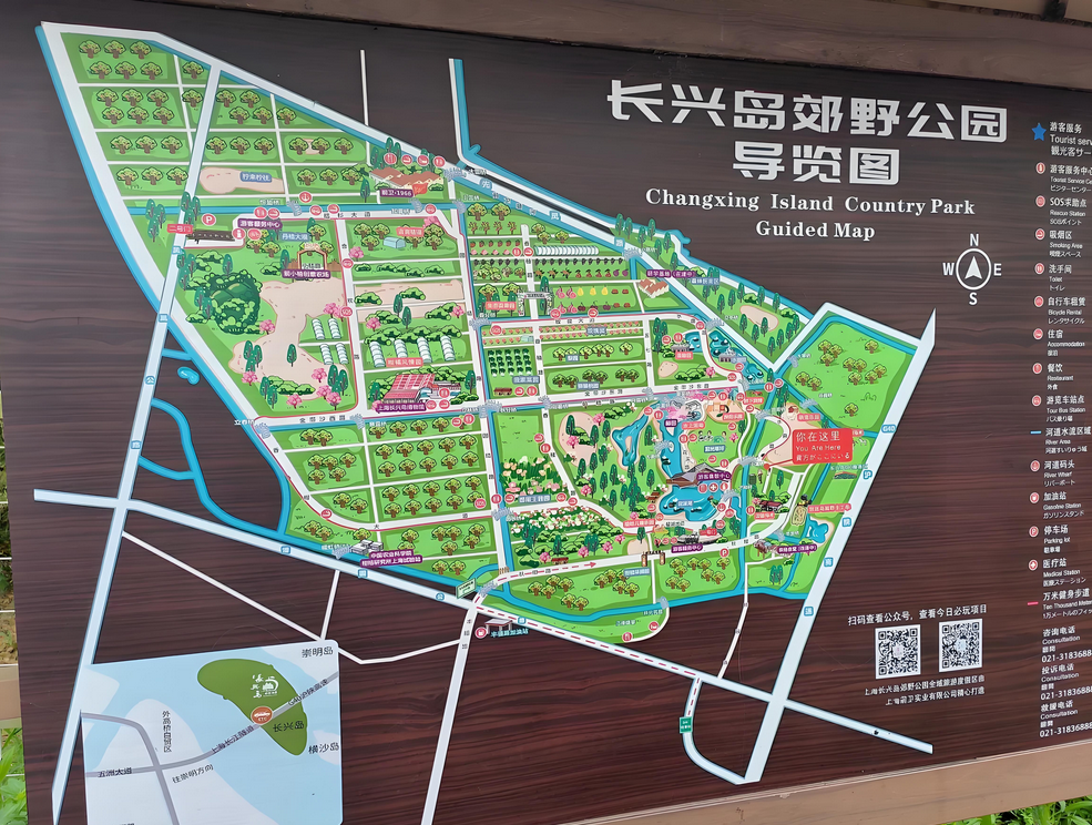 上海長(zhǎng)興島郊野公園