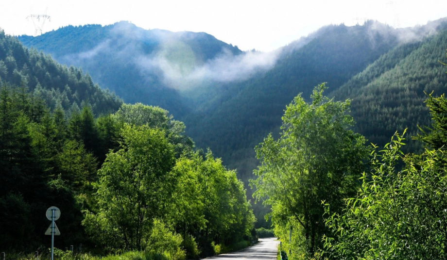 六盘山国家森林公园 六盘山国家森林公园